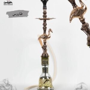 طاووس- الخليل مأمون